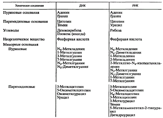 Состав нуклеиновых кислот