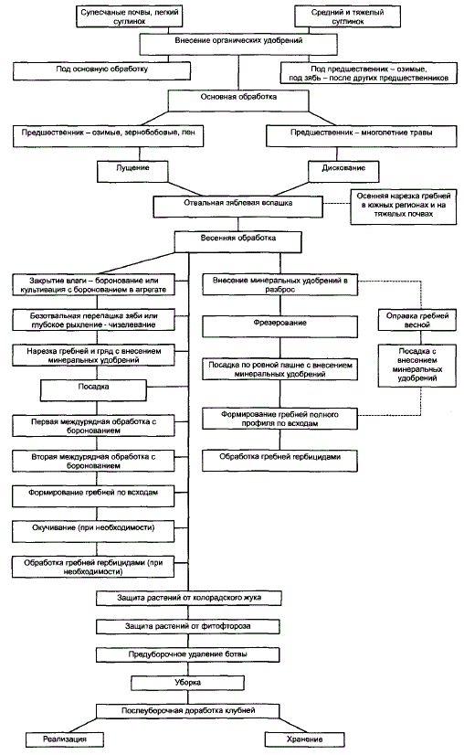 Схема технологического процесса производства картофеля