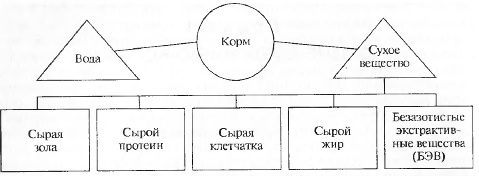 Химический состав кормов