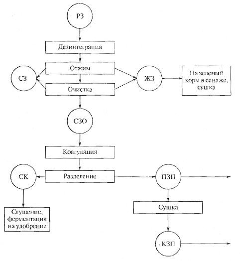 Технологическая схема фракционирования зеленых кормов