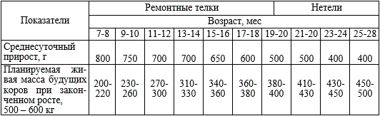 Примерный план роста ремонтных телок и нетелей