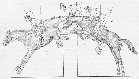 Перемещение центра тяжести у лошади на прыжке