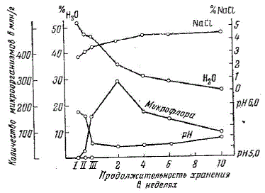 Физико-химические и бактериологические изменения в фарше сырокопченой колбасы (I — начало изготовления; II — осадка; III — копчение).