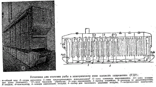Установка для копчения рыбы в электрическом поле высокого напряжения (ГДР)