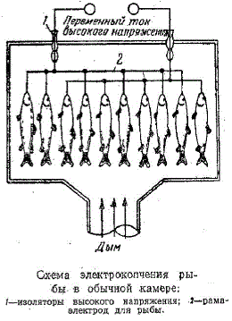 Схема электрокопчения рыбы в обычной камере