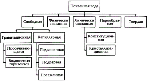 Категории (формы) почвенной влаги