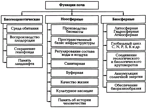 Экологические функции почв