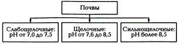 Градации щелочных почв