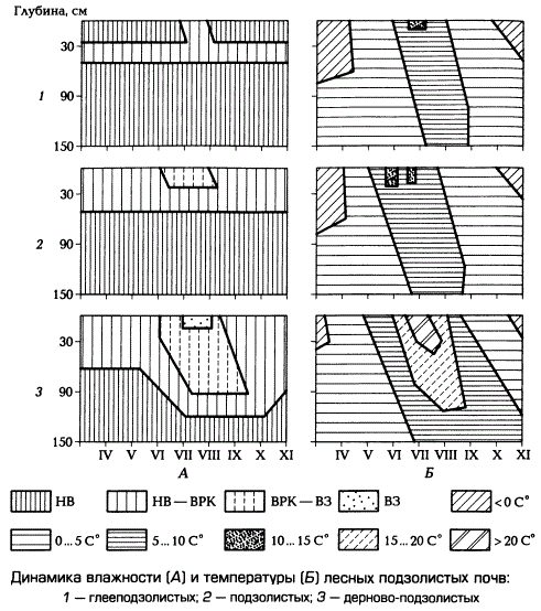 Динамика влажности (А) и температуры (Б) лесных подзолистых почв
