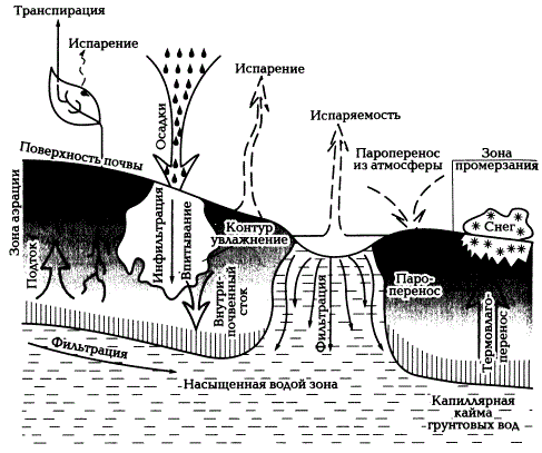 Гидрологические процессы в почве и на ее границах (по Е.В. Шейну, 2005)