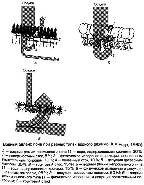 Водный баланс почв при разных типах водного режима
