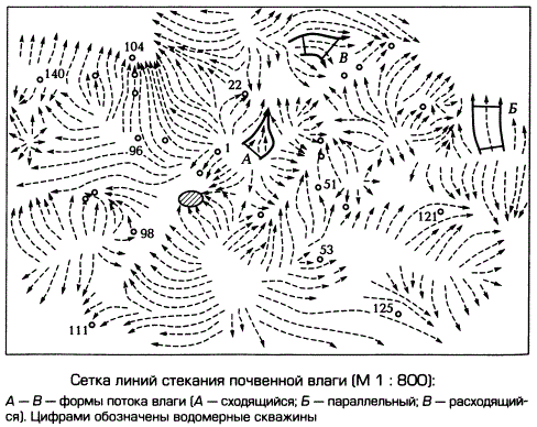 Сетка линий стекания почвенной влаги (М 1 : 800)