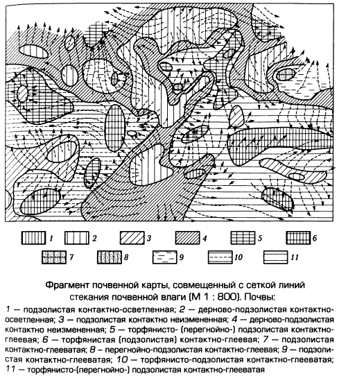 Фрагмент почвенной карты, совмещенный с сеткой линий стекания почвенной влаги (М 1 : 800)