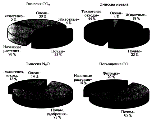 Относительный вклад почв в глобальную эмиссию и поглощение газов (по А.В. Смагину, 2005)