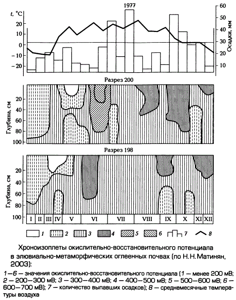 Хроноизоплеты окислительно-восстановительного потенциала в элювиально-метаморфических оглеенных почвах (по Н.Н. Матинян, 2003)