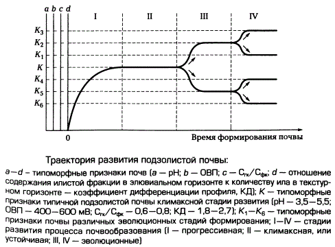 Траектория развития подзолистой почвы