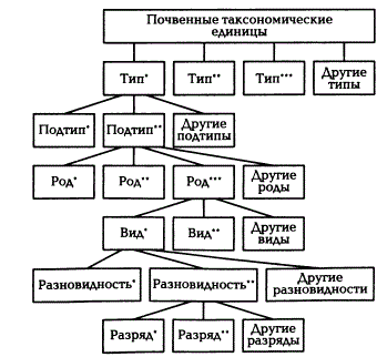 Система основных таксономических единиц классификации почв