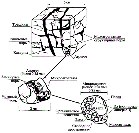 Агрегатное строение почвы (по Е.В. Шеину, 2005)