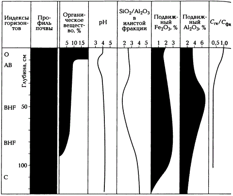 Химический профиль подбура (по А.Н. Геннадиеву и М.А. Глазовской, 2005)
