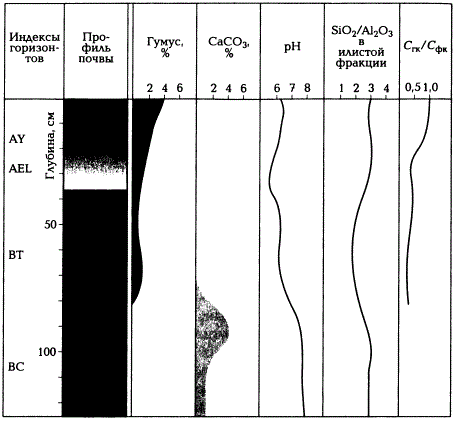 Химический профиль серой почвы (по А.Н. Геннадиеву и М.А. Глазовской, 2005)