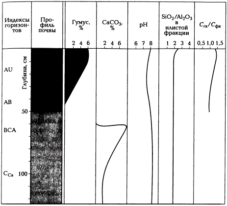 Химический профиль чернозёма (по А.Н. Геннадиеву и М.А. Глазовской, 2005)