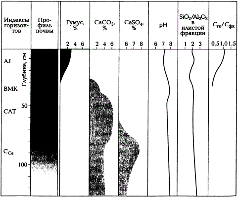 Химический профиль каштановой почвы (по А.Н. Геннадиеву и М.А. Глазовской, 2005)