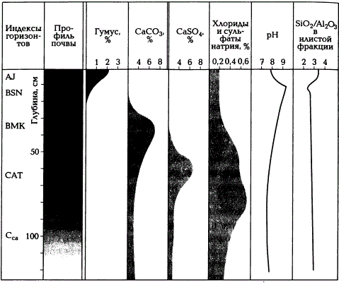 Химический профиль солонца (по А.Н. Геннадиеву и М.А. Глазовской, 2005)