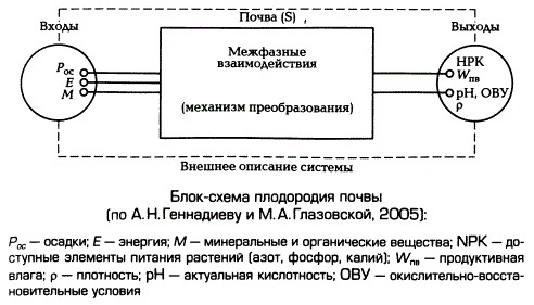 Блок-схема плодородия почвы (по А.Н. Геннадиеву и М.А. Глазовской, 2005)