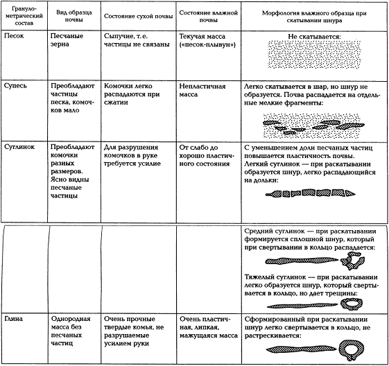 Морфологические признаки гранулометрического состава почвы