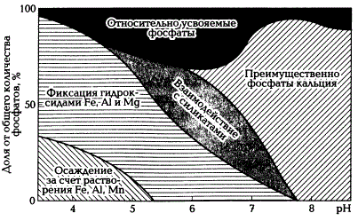 Содержание различных соединений фосфора (Р) в почвах в зависимости от pH (по Д.С. Орлову и др., 2005)