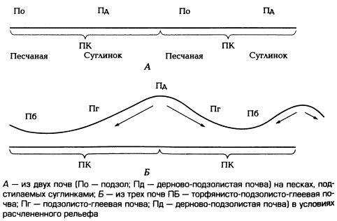 Почвенные комбинации (ПК)