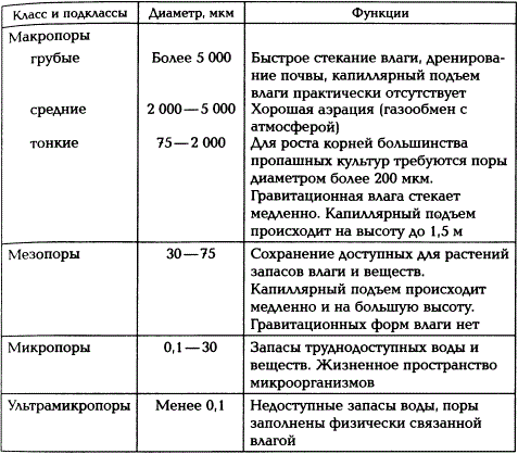 Классификация пор по размерам и функциям