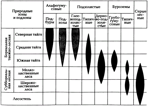 Распределение типов почв в бореальных и суббореальных лесных областях (по Н.А. Геннадиеву и М.А. Глазовской, 2005)