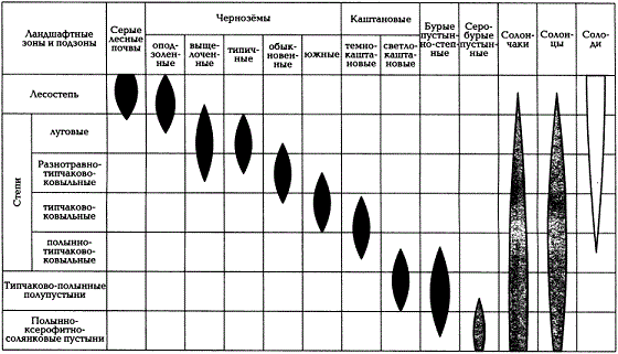 Распределение типов почв в суббореальных, степных и полупустынных областях (по Н.А. Геннадиеву и М.А. Глазовской, 2005)