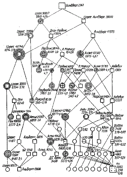 Структурная родословная быка Линдберга