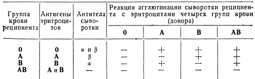 Реакция агглютинации эритроцитов между различными группами крови