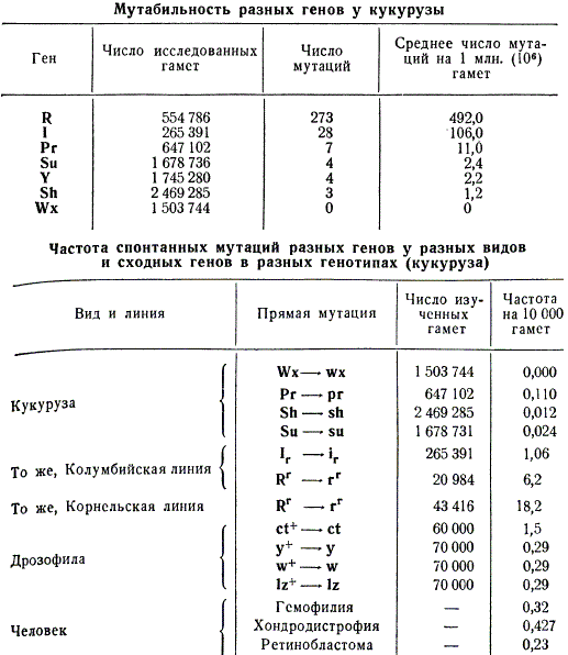 Мутабильность генов кукурузы