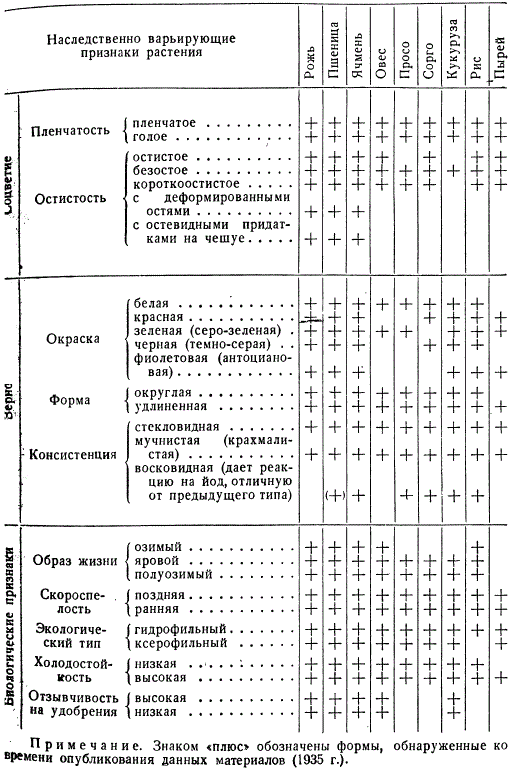 Общая схема сортовой (расовой) изменчивости видов семейства Gramineae