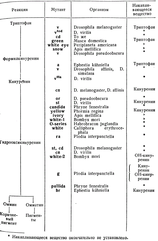 Мутации у насекомых, влияющие на синтез оммохрома