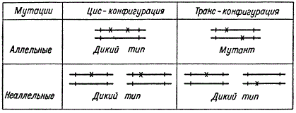 Цис-транс-тест на аллелизм