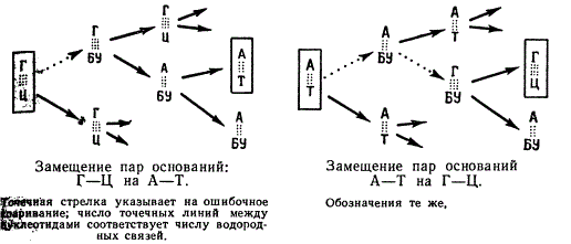 Замещение пар оснований