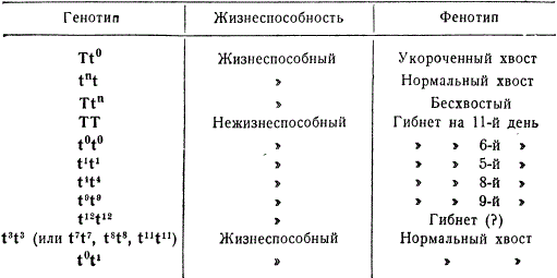 Проявление взаимодействия аллелей гена Т у мыши домовой