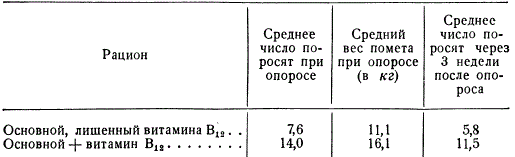 Влияние витамина В12 на плодовитость и качество потомства у свиней