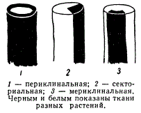 Типы прививочных химер