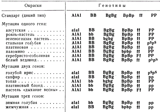 Комбинации генов, определяющие окраску шерстного покрова у норок