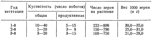 Продуктивность многолетней пшеницы № 2 по годам вегетации (в среднем на одно растение)