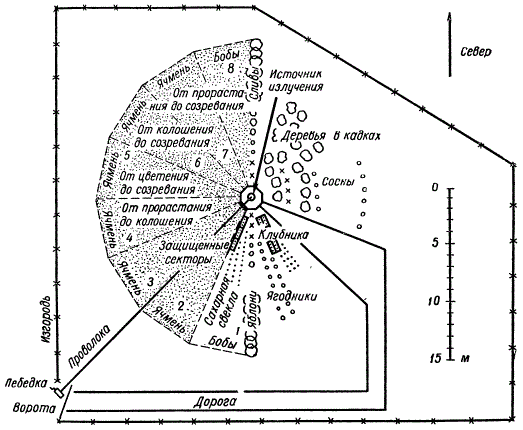 Примерный план участка гамма-поля