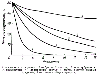 Встречаемость гетерозиготных особей в популяции в зависимости от степени родства скрещиваемых форм