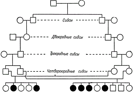 Родословная амавротической идиотии в двух семьях от браков между четвероюродными сибсами