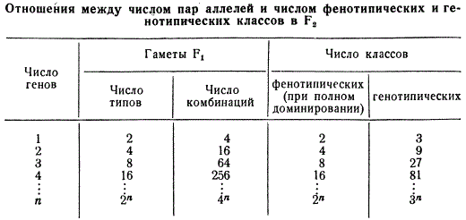 Отношение между числом пар аллелей и числом генотипических и фенотипических классов в F2